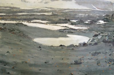 Karge Tundralandschaft von Karin Bos