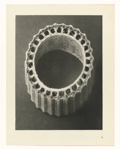 Pflanzenstudien (Urformen der Kunst: photographische Pflanzenbilder) von Karl Blossfeldt