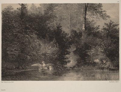  von Karl Bodmer