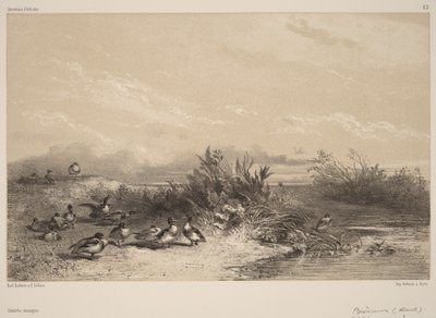  von Karl Bodmer