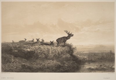  von Karl Bodmer