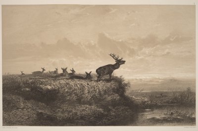  von Karl Bodmer