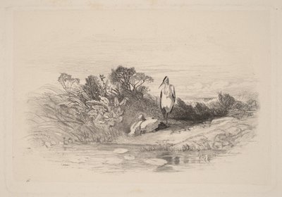 Die zwei Reiher von Karl Bodmer