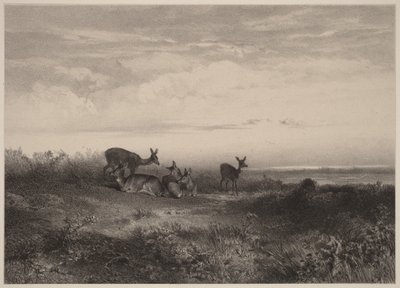Die Rehe von Karl Bodmer