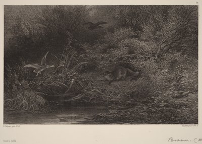  von Karl Bodmer