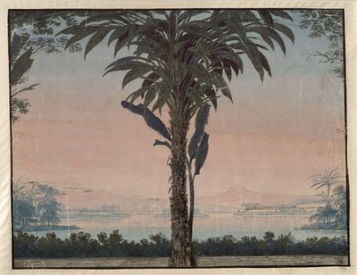 Athalia. Oper von Johann Nepomuk von Poissl. Entwurf zur 4. Dekoration. Garten des Hohepriesters mit großer Palme vor einer Wasserfläche von Karl Friedrich Schinkel