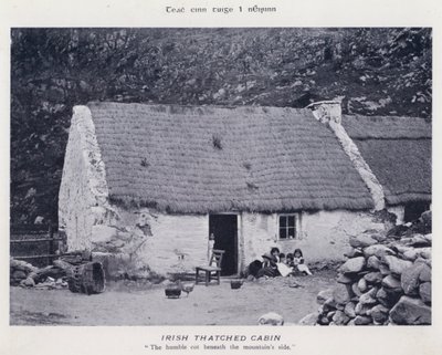 Irische Strohhütte von Karl Karlovich Piratsky