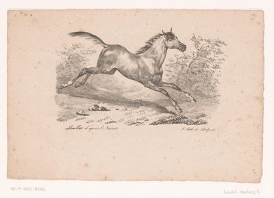 Galoppierendes Pferd in Landschaft von Karl Loeillot Hartwig