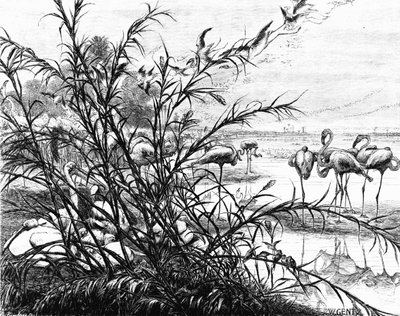 Ein Parlament der Vögel am See Menaleh, 1880 von Karl Wilhelm Gentz