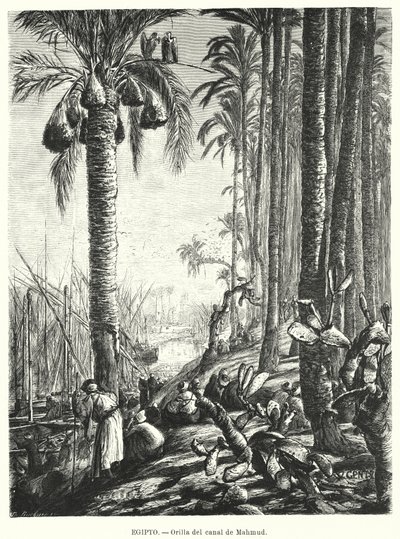 Ufer des Mahmoudiyah-Kanals, Ägypten von Karl Wilhelm Gentz