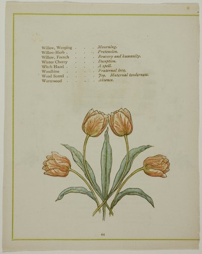 Dekorative Illustration, aus Die erleuchtete Sprache der Blumen von Kate Greenaway