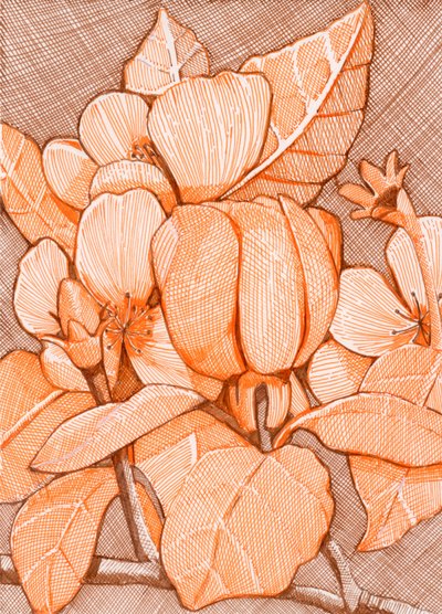 Schraffierte orangefarbene Blüten von Katie O'Shea