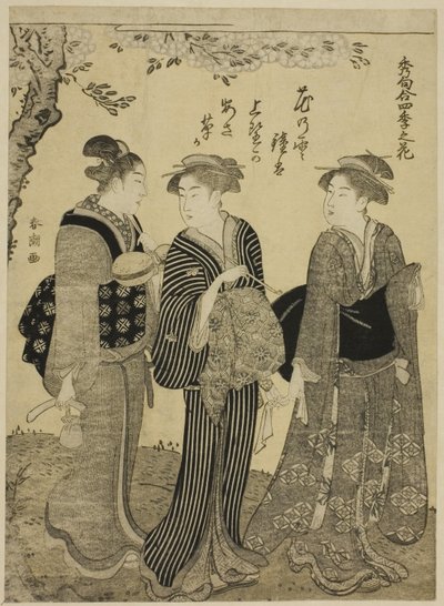 Kirschblüten im Frühling, aus der Serie "Die schönsten Oden über Blumen der vier Jahreszeiten (Shuku awase, shiki no hana)" von Katsukawa Shuncho