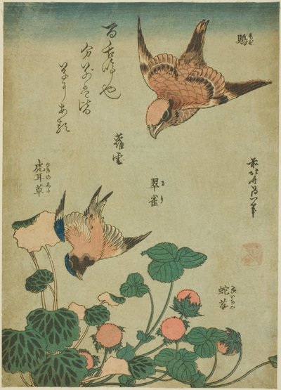 Bullenkopf-Würger und Blauvogel mit Steinbrech und Wilder Erdbeere (Mozu, ruri, yukinoshita, hebi-ichigo), aus einer unbetitelten Serie von Blumen und Vögeln von Katsushika Hokusai