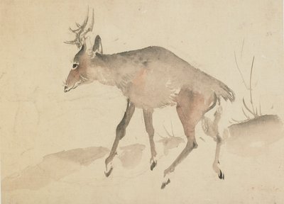 Hirsch, spätes 18. bis frühes 19. Jahrhundert von Katsushika Hokusai