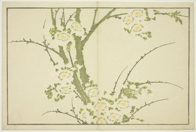 Blumen, aus Das Bilderbuch der realistischen Gemälde von Hokusai (Hokusai shashin gafu), ca. 1814 von Katsushika Hokusai