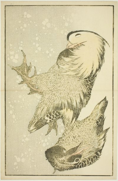 Zwei Wasservögel, aus dem Bilderbuch der realistischen Malereien von Hokusai (Hokusai shashin gafu) von Katsushika Hokusai