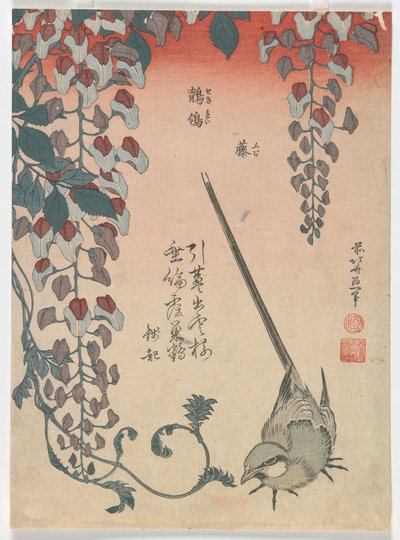 Bachstelze und Glyzinie, Edo-Periode, 1834 von Katsushika Hokusai