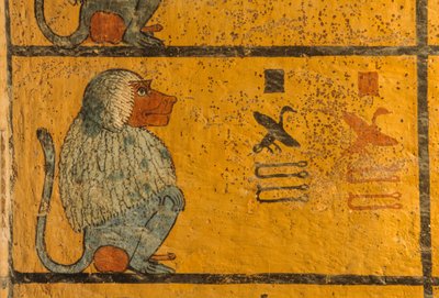 Pavian, Wandmalerei im Grab von König Tutanchamun; KV52, Tal der Könige, Theben, 2003 (Foto) von Kenneth Garrett