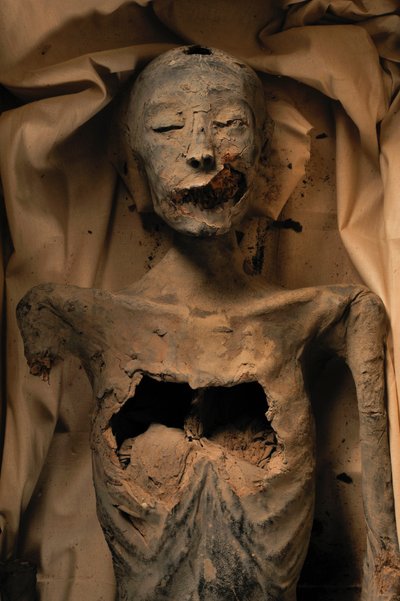 Mumie der Mutter von König Tutanchamun (bekannt als die Jüngere Dame) von Kenneth Garrett
