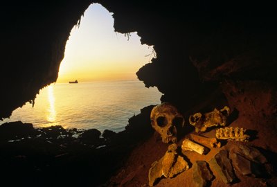Schädel einer Neandertalerfrau, abgeschlagene Werkzeuge und Knochen eines Ibex - Wildziege, Gibraltar, 2008 (Foto) von Kenneth Garrett