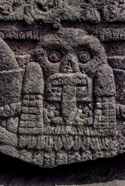 Schädel- und Schlangenschnitzerei, Tenochtitlan, Templo Mayor, Azteken, Mexiko, Mexiko-Stadt von Kenneth Garrett