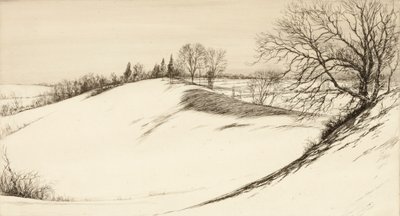 Der Rücken des Wals von Kerr Eby