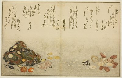 Ashi-gai, hamaguri, ko-gai, suzume-gai, akoya-gai und katashi-gai, aus dem illustrierten Buch "Geschenke von der Ebbe (Shiohi no tsuto)" von Kitagawa Utamaro