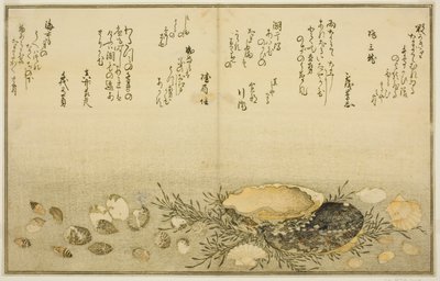 Chidori-gai, itaya-gai, awabi, utsuse-gai, asari-gai und monoara-gai, aus dem illustrierten Buch "Geschenke der Ebbe (Shiohi no tsuto)" von Kitagawa Utamaro