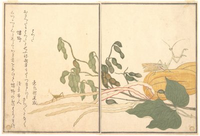 Kegelkopf-Heuschrecke oder Grashüpfer, (batta); Gottesanbeterin (Tōrō oder Kamakiri), aus dem Bilderbuch der kriechenden Kreaturen (Ehon mushi erami) von Kitagawa Utamaro