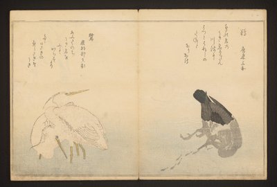 Kormoran und Reiher von Kitagawa Utamaro