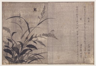 Grille und Glühwürmchen, 1788 von Kitagawa Utamaro