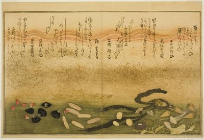 Minashi-gai, shio-gai, katatsu-gai, miso-gai, chijimi-gai und chigusa-gai, aus dem illustrierten Buch "Geschenke der Ebbe (Shiohi no tsuto)" von Kitagawa Utamaro