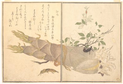 Maulwurfsgrille (Kera); Ohrwurm (Hasami-mushi), aus dem Bilderbuch der kriechenden Kreaturen (Ehon mushi erami) von Kitagawa Utamaro