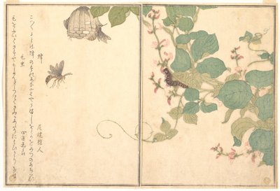 Papierwespe (Hachi); Haarige Raupe (Kemushi), aus dem Bilderbuch der kriechenden Kreaturen (Ehon mushi erami) von Kitagawa Utamaro