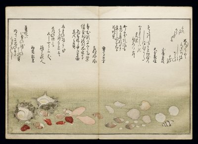 Shiohi no tsuto (Geschenke von der Ebbe), bekannt als das Muschelbuch, 1789 von Kitagawa Utamaro