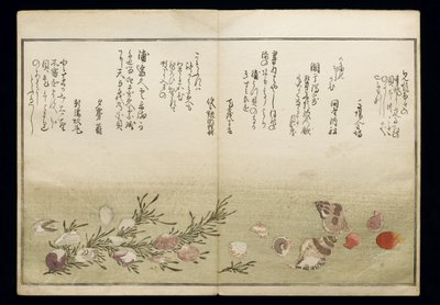 Shiohi no tsuto (Geschenke von der Ebbe), bekannt als das Muschelbuch, 1789 von Kitagawa Utamaro