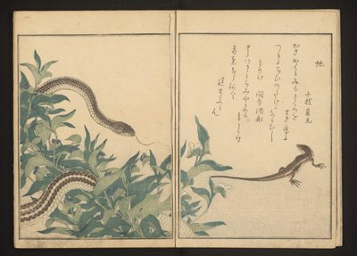 Schlange und Eidechse bei einem Busch von Kitagawa Utamaro