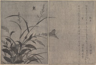 Baumgrille Matsumushi, Glühwürmchen Hotaru..., 1788 von Kitagawa Utamaro