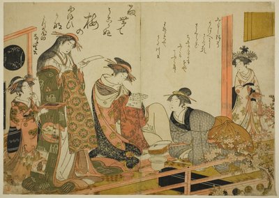 Die Kurtisanen Utagawa und Nanasato aus dem Yotsumeya, aus dem Album "Vergleich neuer Schönheiten von Yoshiwara - Ein Spiegel ihrer eigenen Schriften (Keisei shin bijin awase jikihitsu kagami)" von Kitao Masanobu