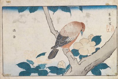 Ohne Titel von Kitao Masayoshi