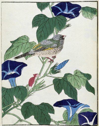 Vogel auf einem Baum. Japanische Zeichnung von Kitao Kosuisai von Kitao Shigemasa