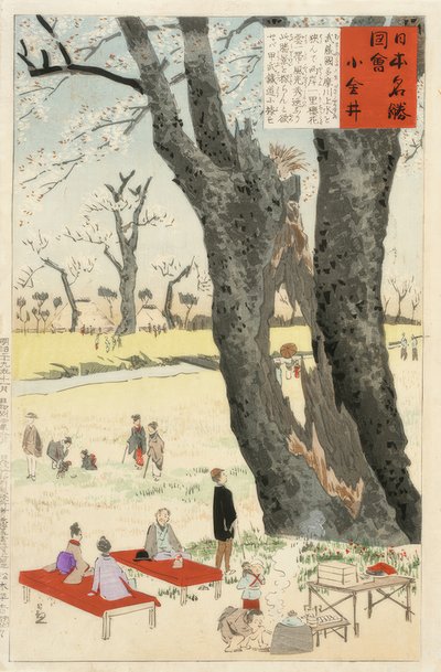 Koganei, Kirschblüten von Kiyochika Kobayashi