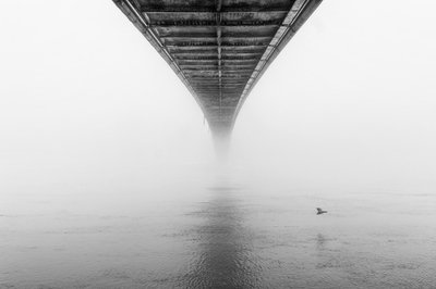 Neblige Brücke und Vogel von Krunoslav Nevistic