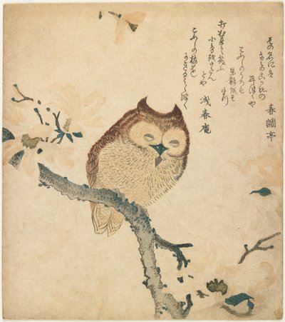 Uhu auf blühendem Ast von Kubo Shunman