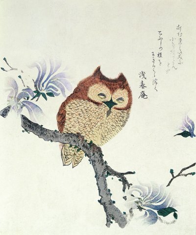 Eule auf einem Magnolienzweig von Kubo Shunman