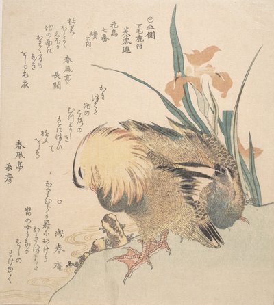 Paar Mandarinenten und Schwertlilien von Kubo Shunman