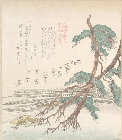 Küstenlandschaft mit Kiefern und fliegenden Kranichen von Kubo Shunman