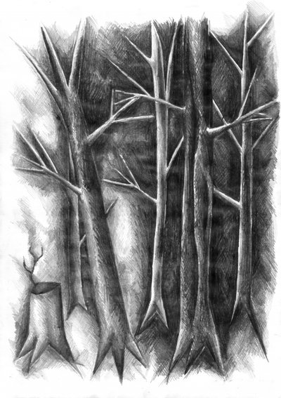 Dunkle Walderneuerung von Kulik