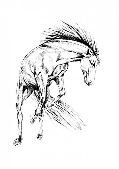Dynamisches Wildpferd von Kulik